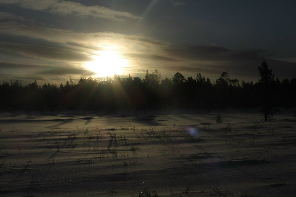 Арсений Петрик | Харьков