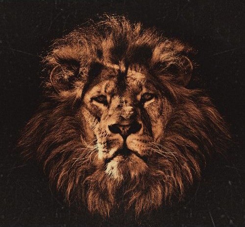 Сергей Жокин | 