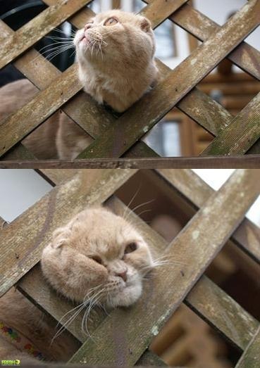 Юлия Жаргалова | Чита