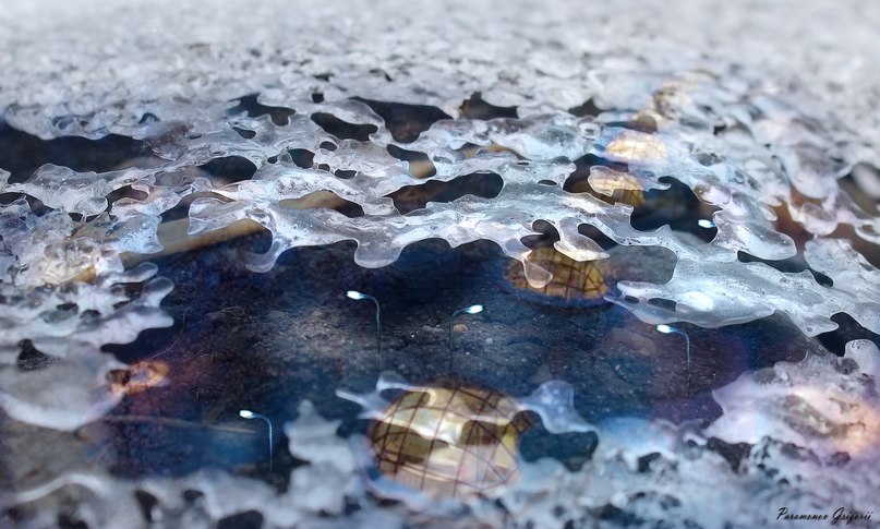 Григорий Парамонов | Мурманск