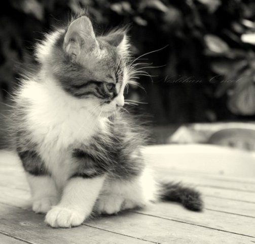 №7, Амина Халикова, Ульяновск №7, Амина Халикова, Ульяновск