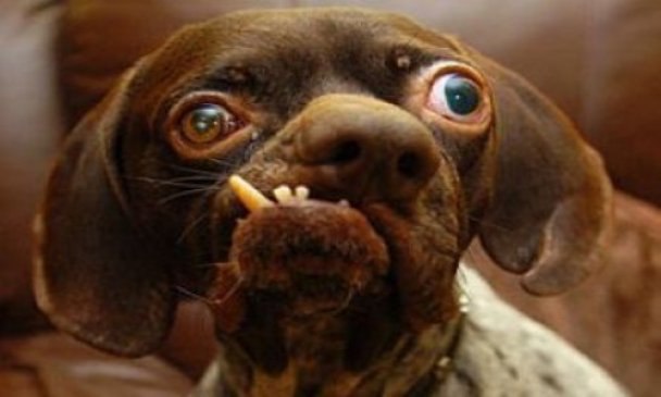 Тёма Игнат | Луганск