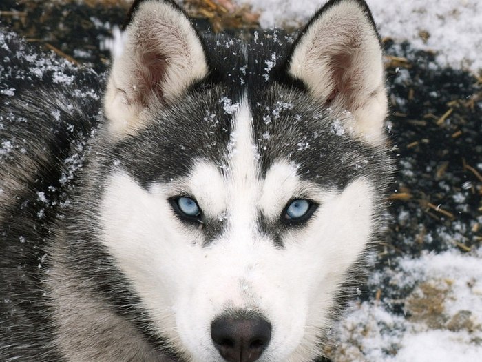 Иришка Милашка | Хмельницкий