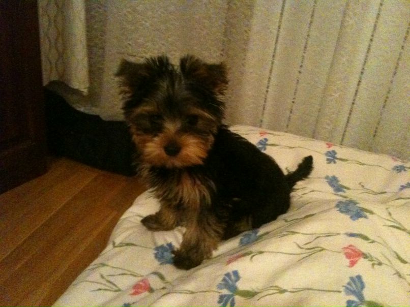 Юлия Голомако matil'da | Москва