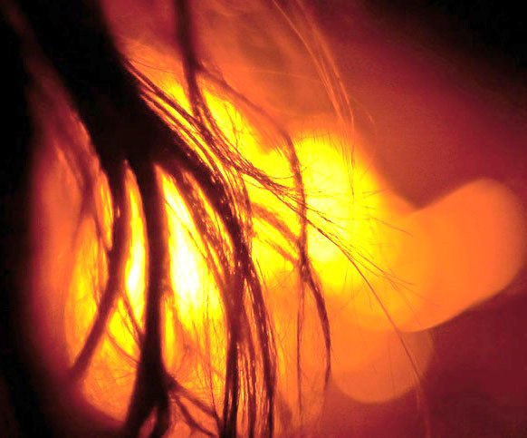 Варя Гречушникова | Таганрог