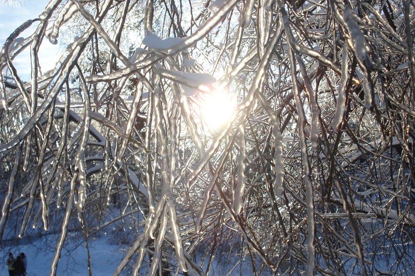 Виталия Дземидович | Москва