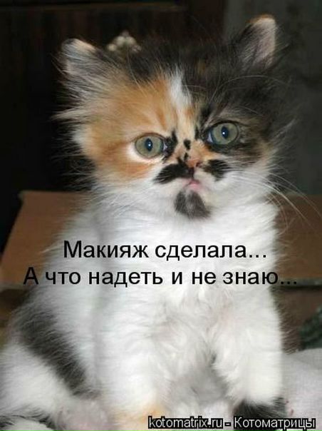 №8, Марина Ильницкая №8, Марина Ильницкая