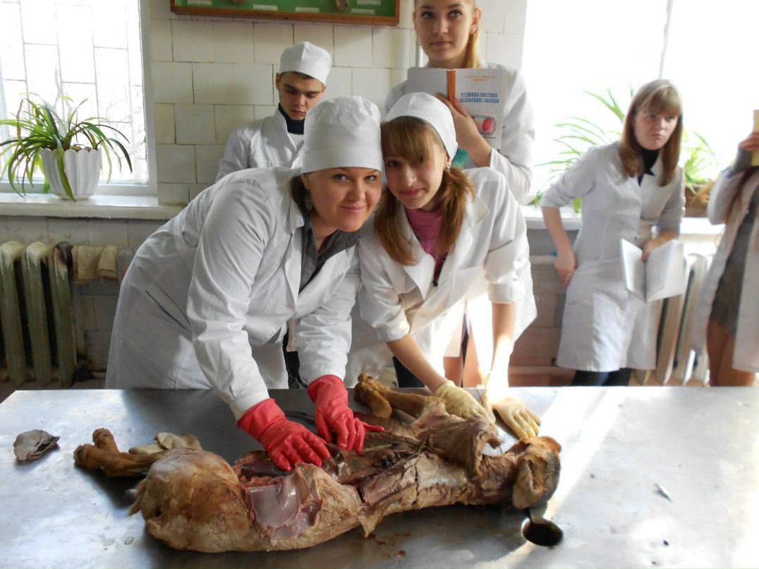 Юлька Утва | 