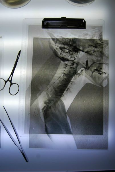 №14, Лика Марутян, 39 лет, Тель-Авив №14, Лика Марутян, 39 лет, Тель-Авив