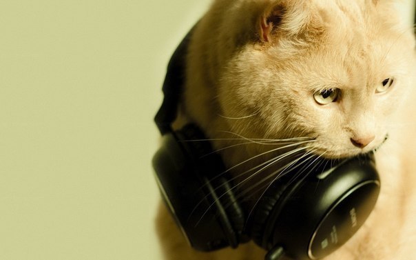 Анька Котенко | Львов