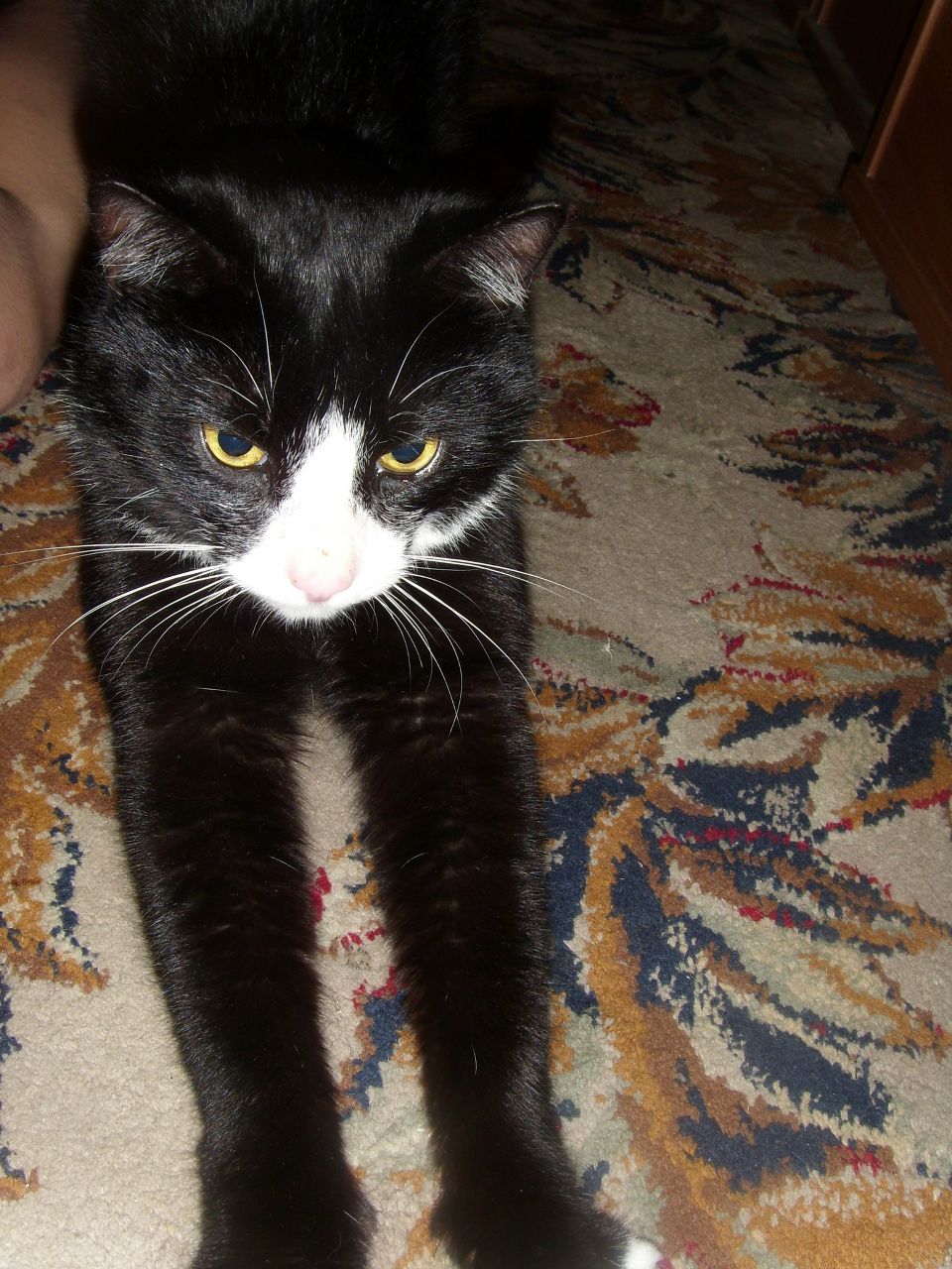 Лена Крахина ♥ | Москва