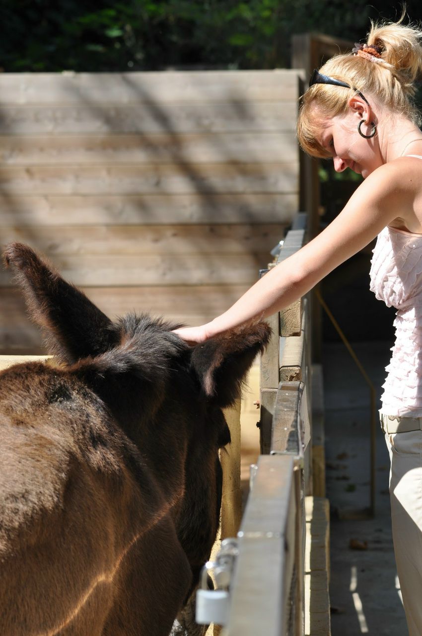 Юлия Петрова | Мытищи