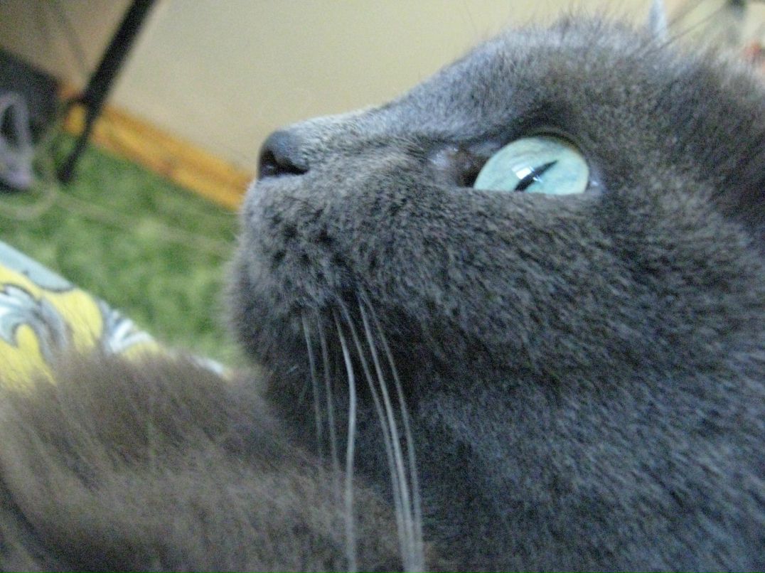 Андрей Захаров | 