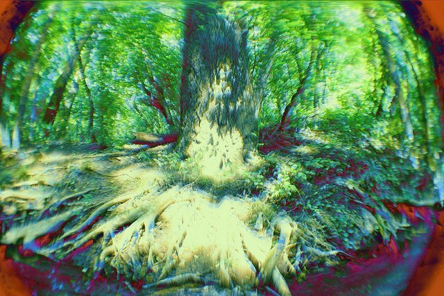 Мишаня Хитрый | 