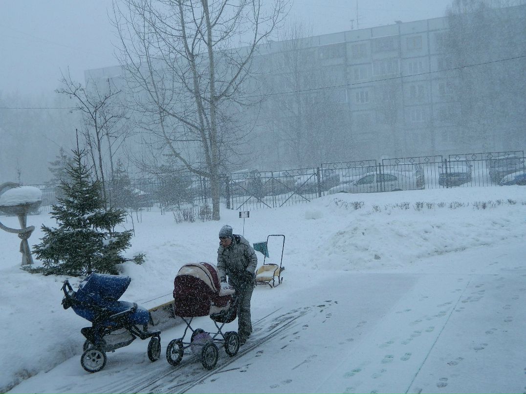 Алиска Додина | 