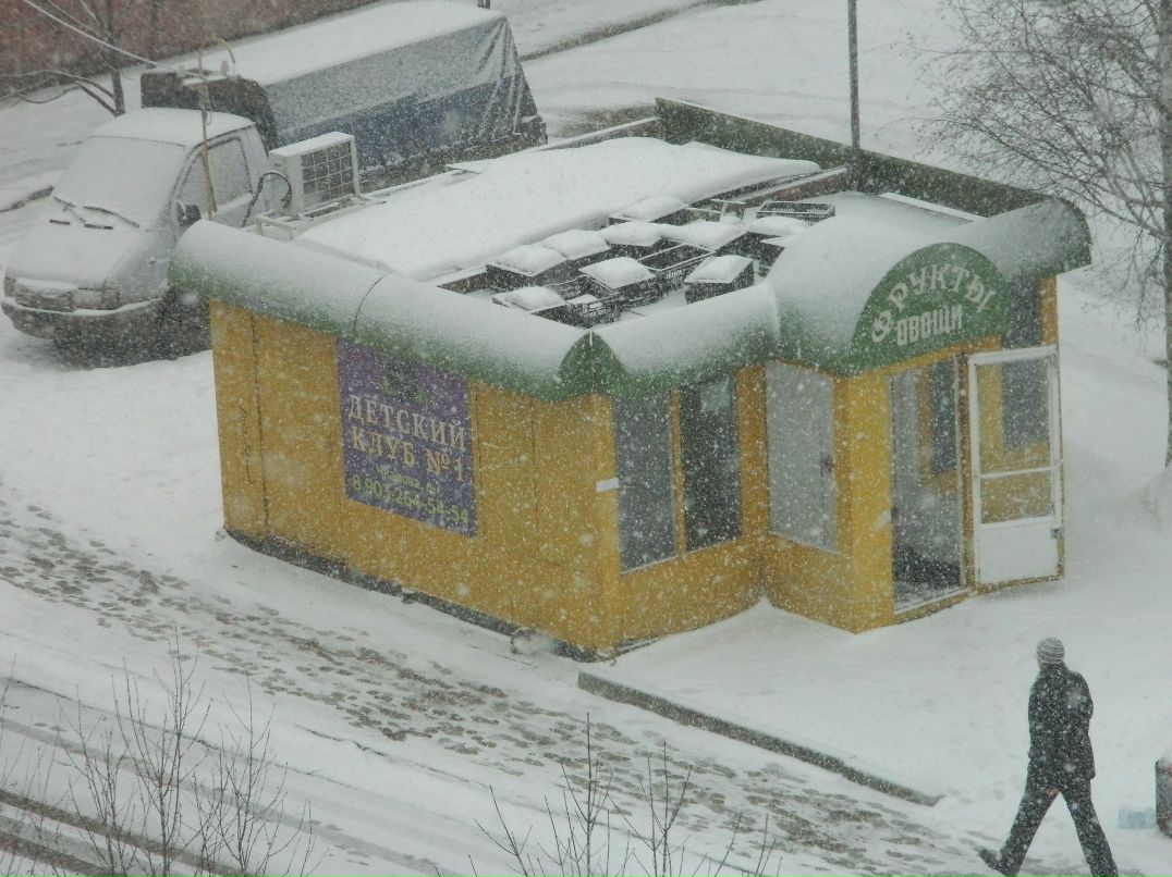 Алиска Додина | 