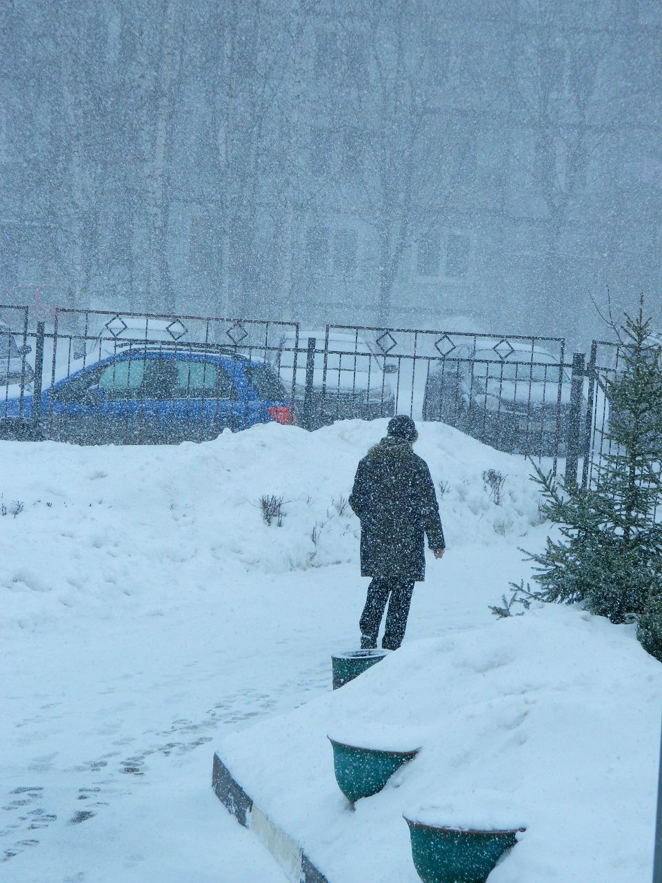 Алиска Додина | 