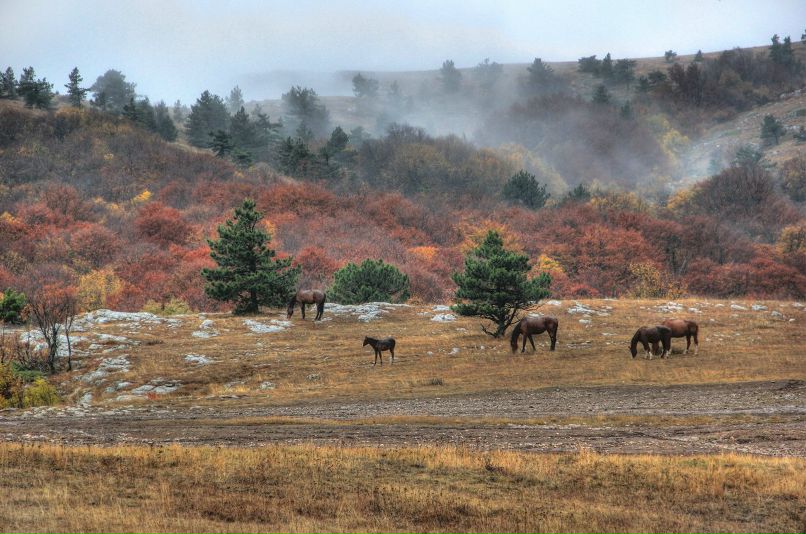 Ольга Ярвинен | Уфа
