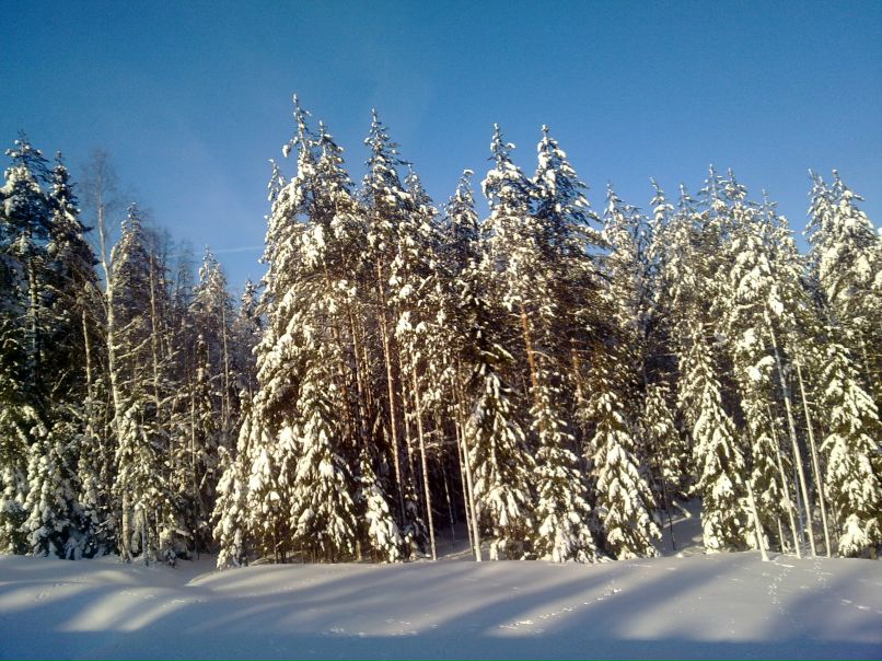 Дэн Соловей | Санкт-Петербург