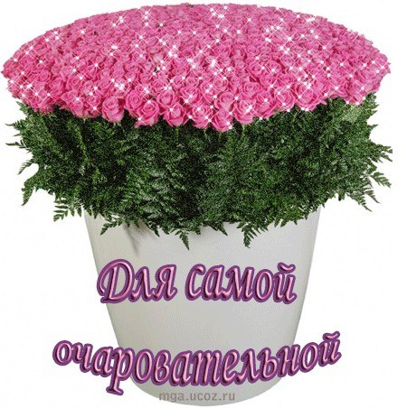 Sergey Sushch | Sacramento