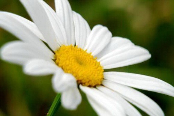 Аня Наманова | Смоленск