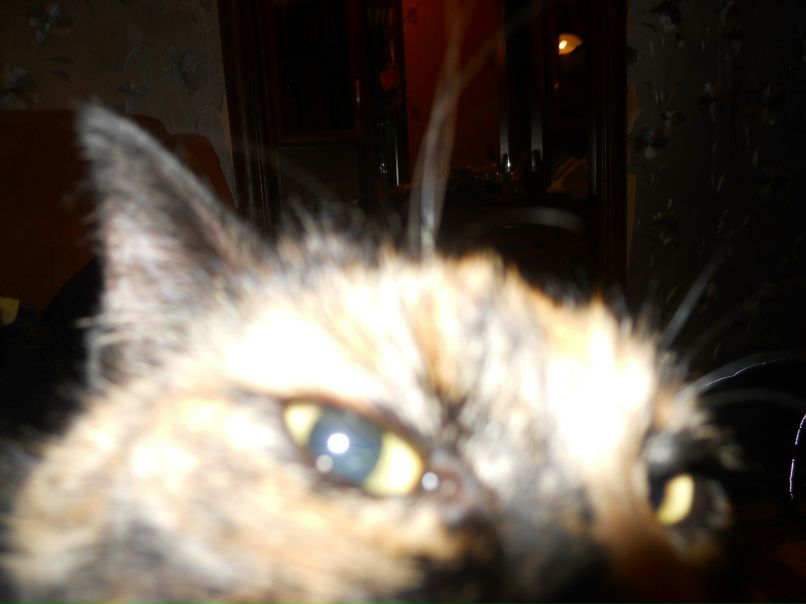 Даша Андронова | Пенза