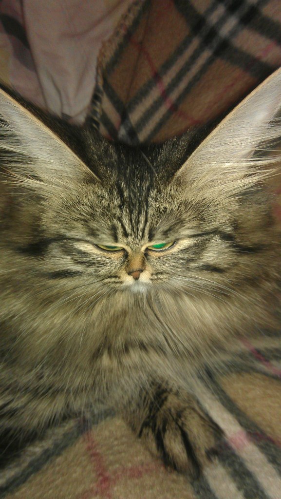 Анатолий Барменков | Петровский