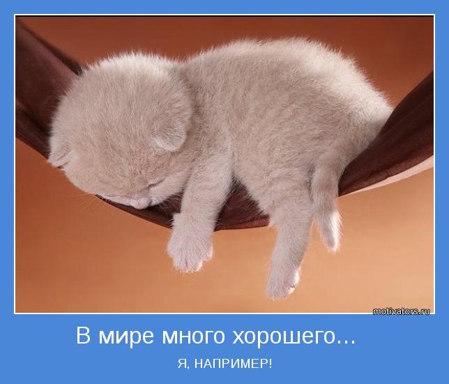 Олена Орёл | Ровно