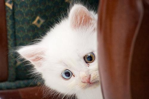 Элиза Закирова | Сургут