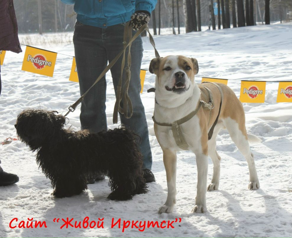 Аня Сороковикова | Ангарск