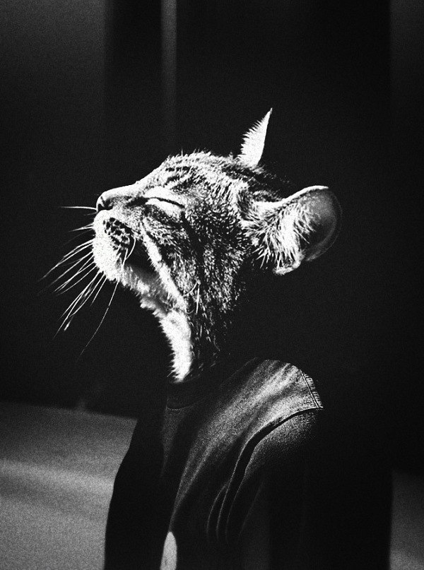 Константин Гришко | 