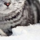 №1, Юлія Онищенко, 27 лет, Черкассы №1, Юлія Онищенко, 27 лет, Черкассы