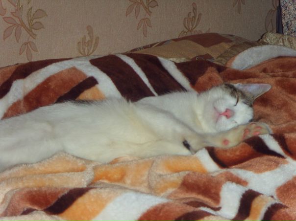 №125, Юлия Урцева, 37 лет, Москва №125, Юлия Урцева, 37 лет, Москва