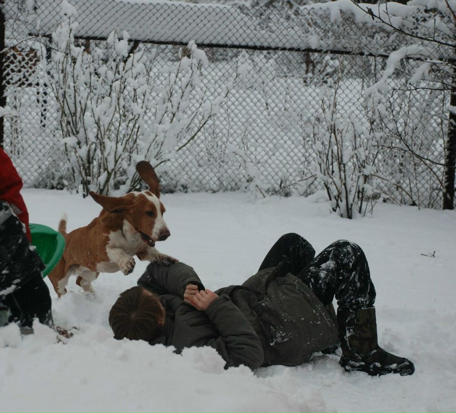 Ярослав Шелест | Москва