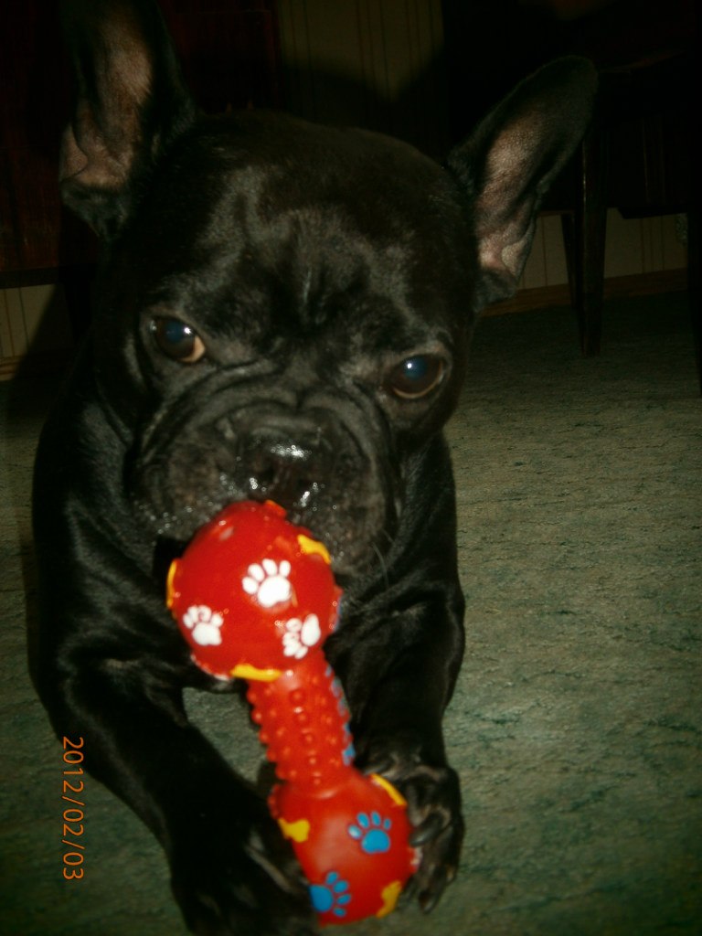 Ганна Жупник | Клайпеда