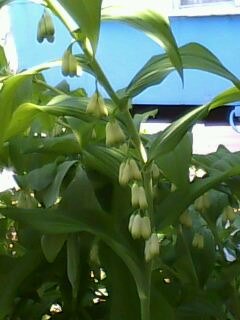 Александр Матюшев | Калининград