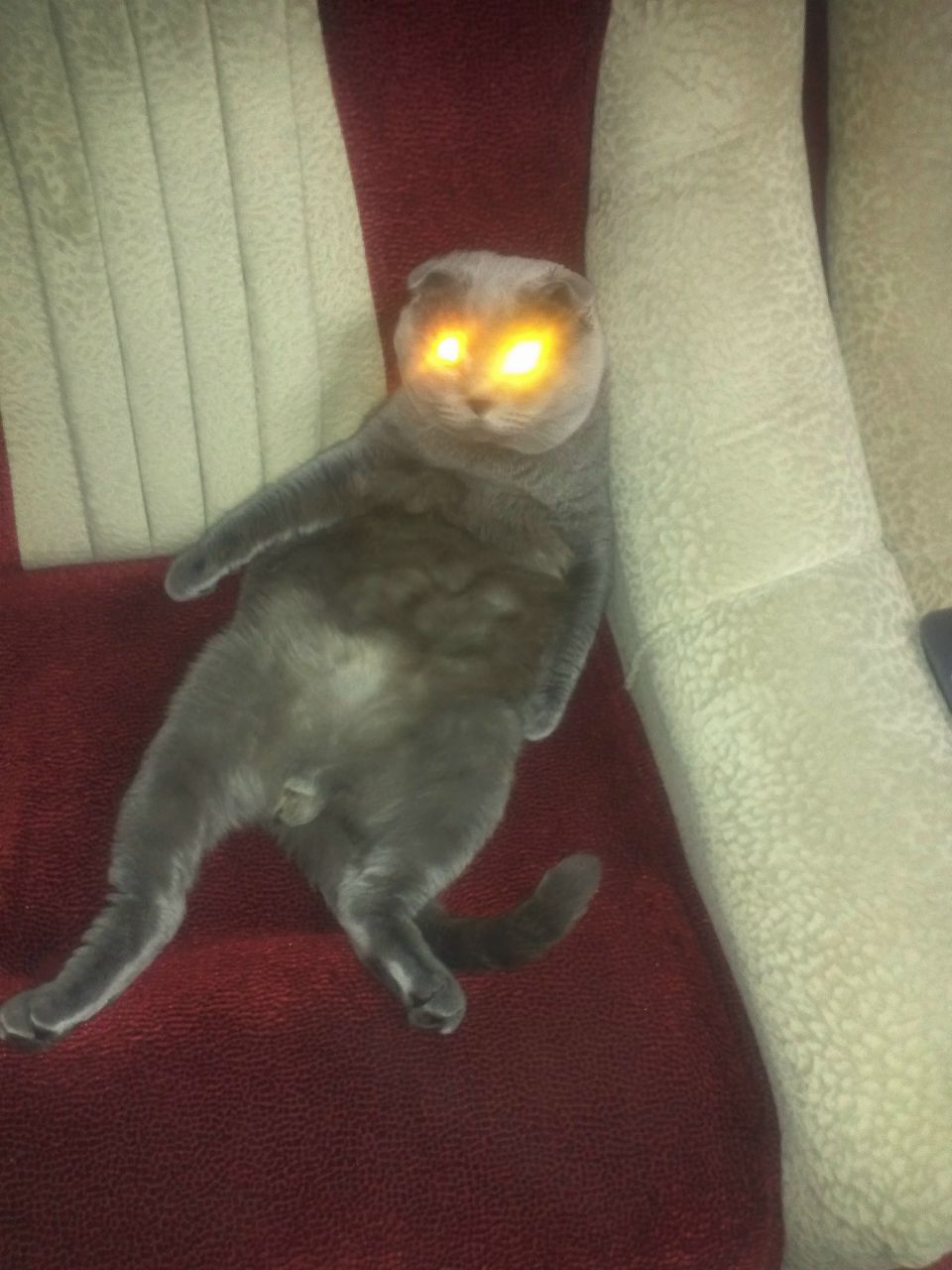 Никита Харитошин | Новосибирск