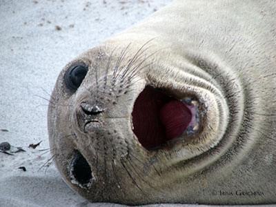 Даша Миколайтис | Калининград