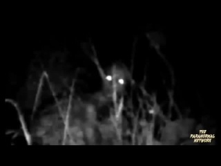 ALIENS CAUGHT ON TAPE I