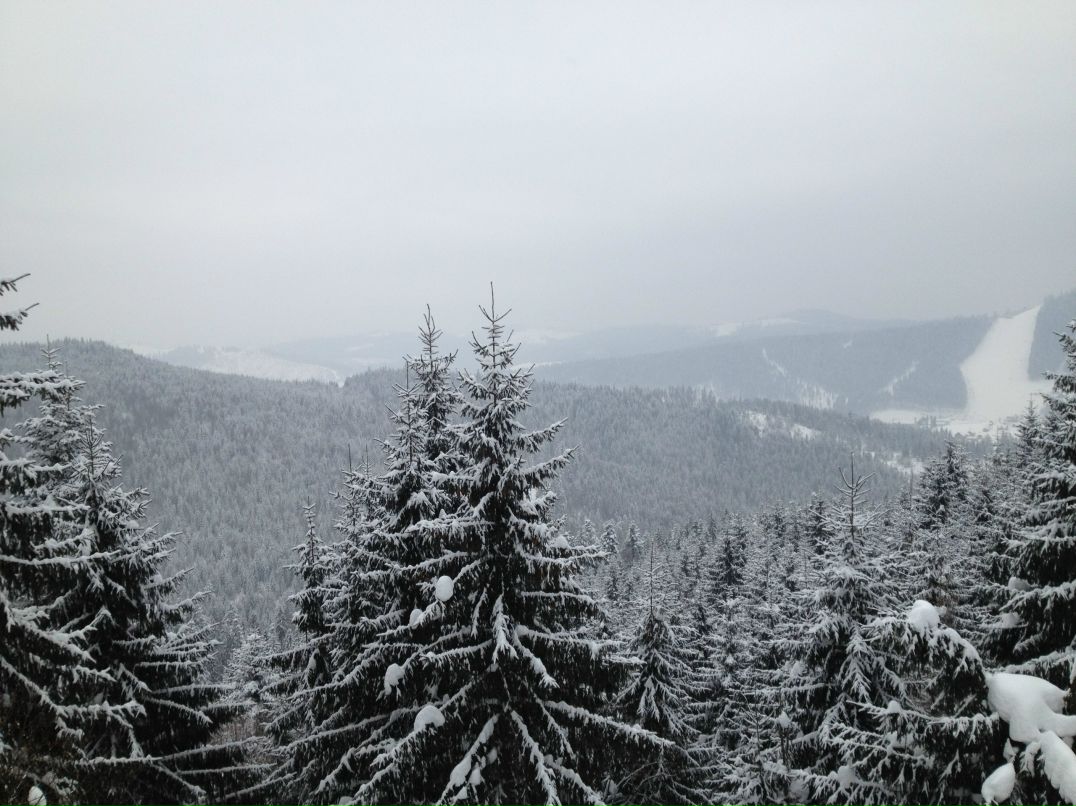 Владимир Черныш | Киев