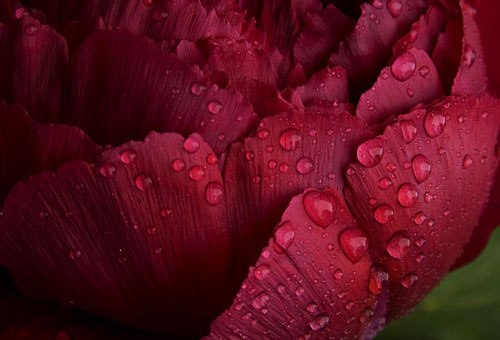 Natasha Gerzhova | Одесса