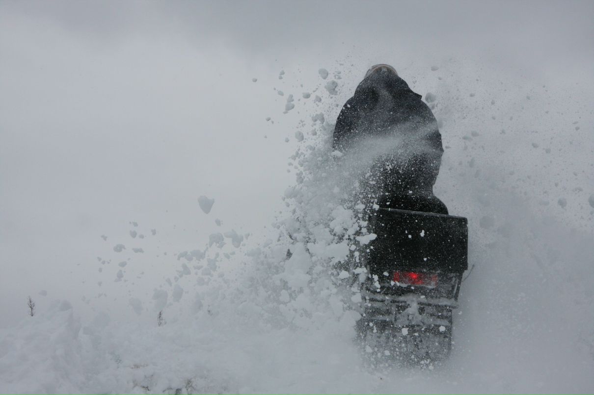 Alexander Salmon | Астрахань