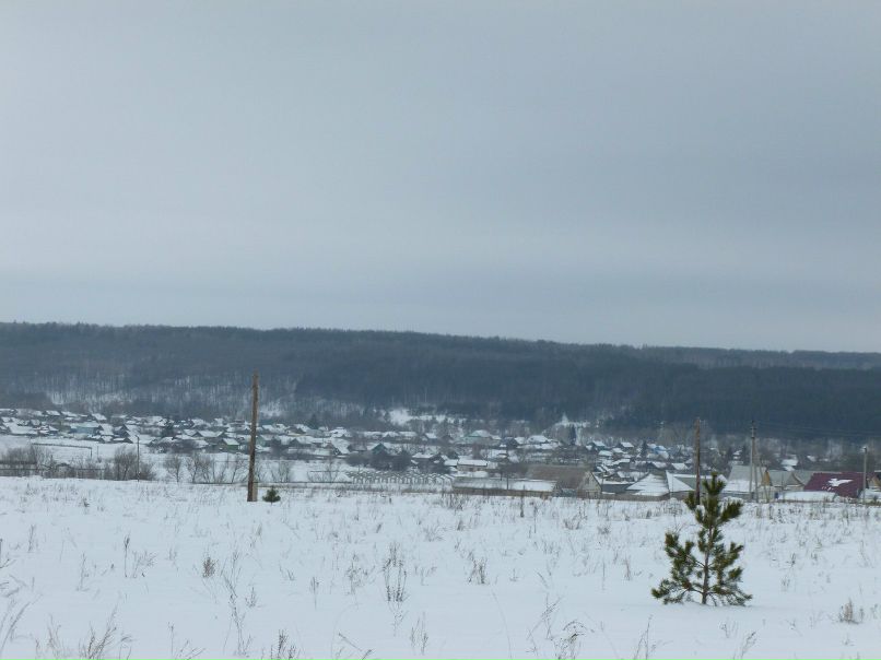 Артем Бисеров | 