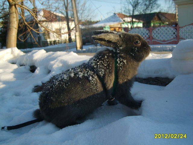 Ольга Соколова | Екатеринбург