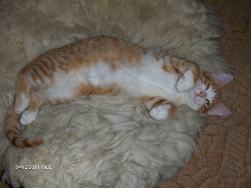 Надежда Васильева | Даугавпилс