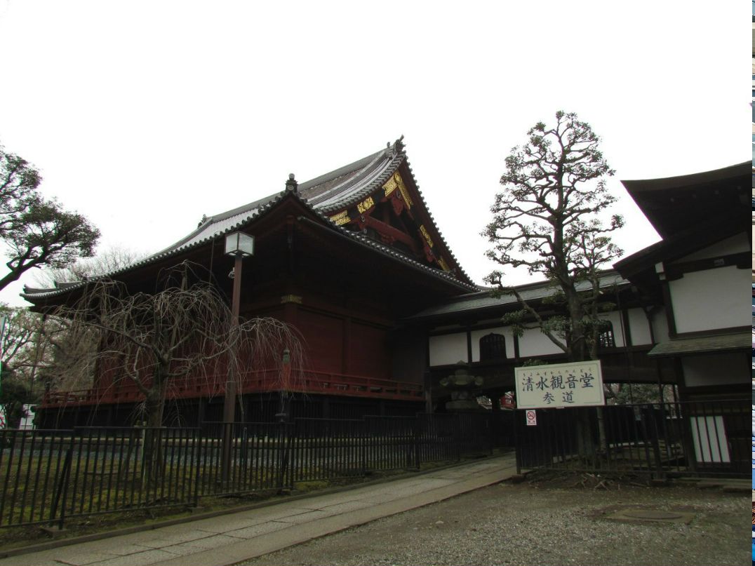 Юлия Брыскина | Москва