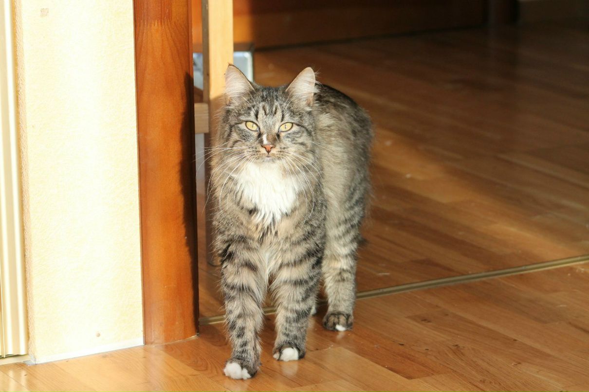 Мария Угрюмова | Санкт-Петербург