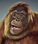 Михаил Ткачев | 