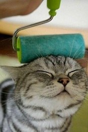 Дмитрий Зайцев | Новосибирск