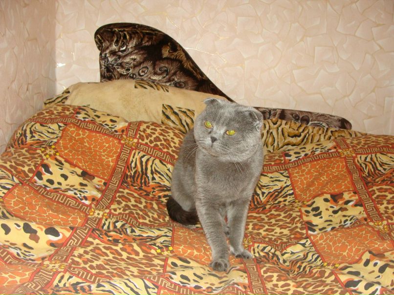 Александр Шараховский | Петрозаводск